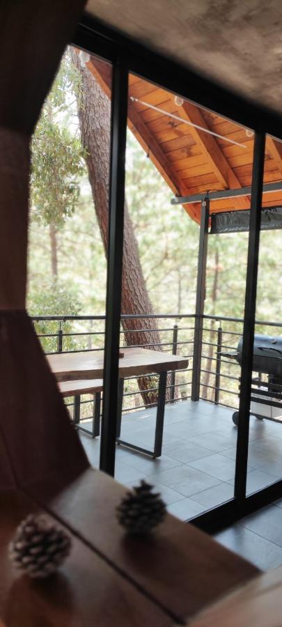 Cabanas San Marcos Мазамитла Экстерьер фото